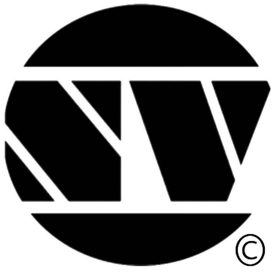 nerovisum logo transparent