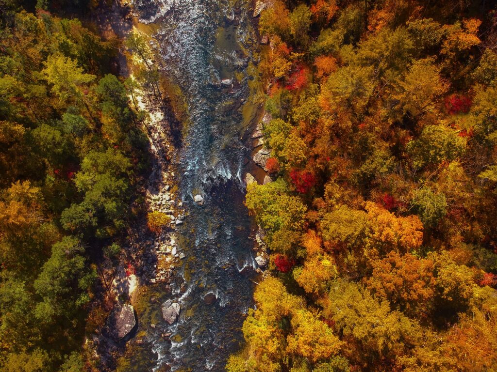 Stunning aerial view of Chattooga River, Georgia, surrounded by vibrant autumn foliage.